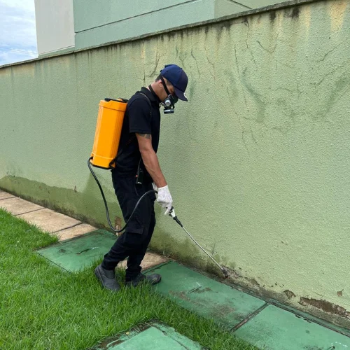 Imuniza Pest Control - dedetização profissional - controle de pragas - rondonia
