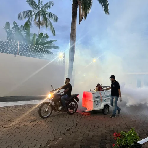 Imuniza Pest Control - dedetização profissional - controle de pragas - rondonia