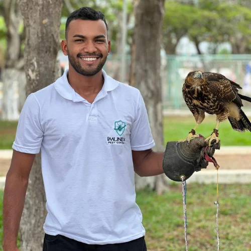 Imuniza Pest Control - dedetização profissional - controle de pragas - rondonia