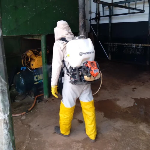 Imuniza Pest Control - dedetização profissional - controle de pragas - rondonia