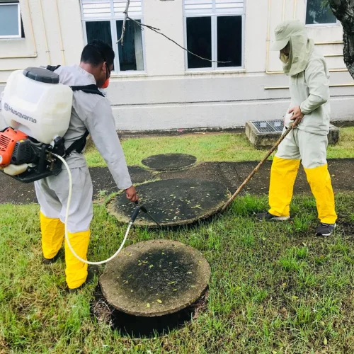 Imuniza Pest Control - dedetização profissional - controle de pragas - rondonia