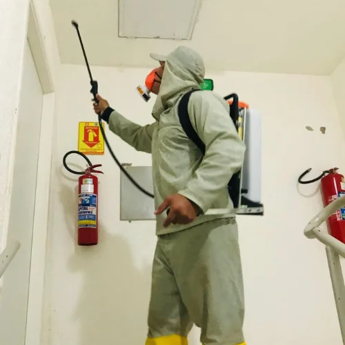 Imuniza Pest Control - dedetização profissional - controle de pragas - rondonia