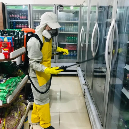 Imuniza Pest Control - dedetização profissional - controle de pragas - rondonia